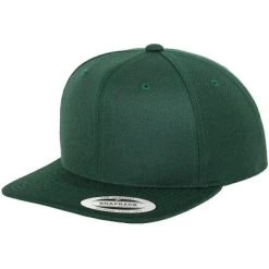 Caps - Flexfit Snapback Cap (Green)