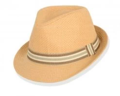 Hattar - Faustmann Rieti (camel)